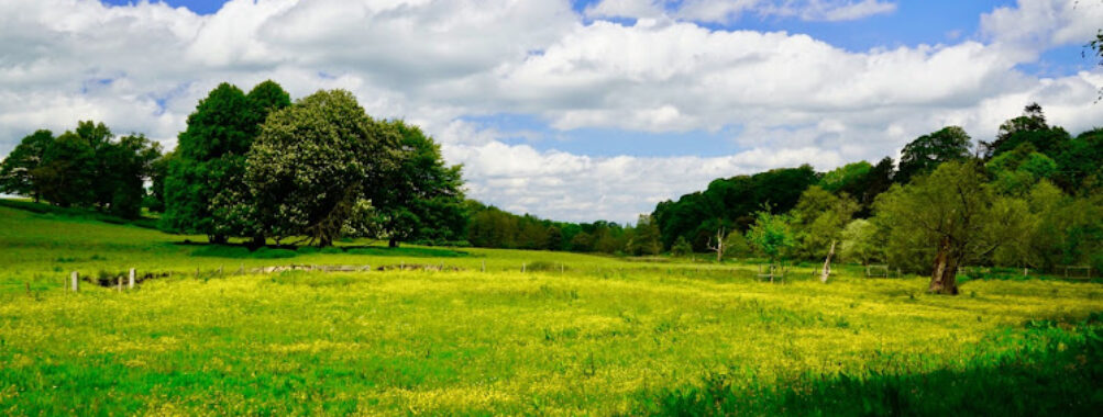 National Trust – Erddig