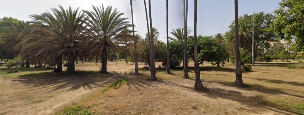 Zona de Refugio y Alimento para Aves