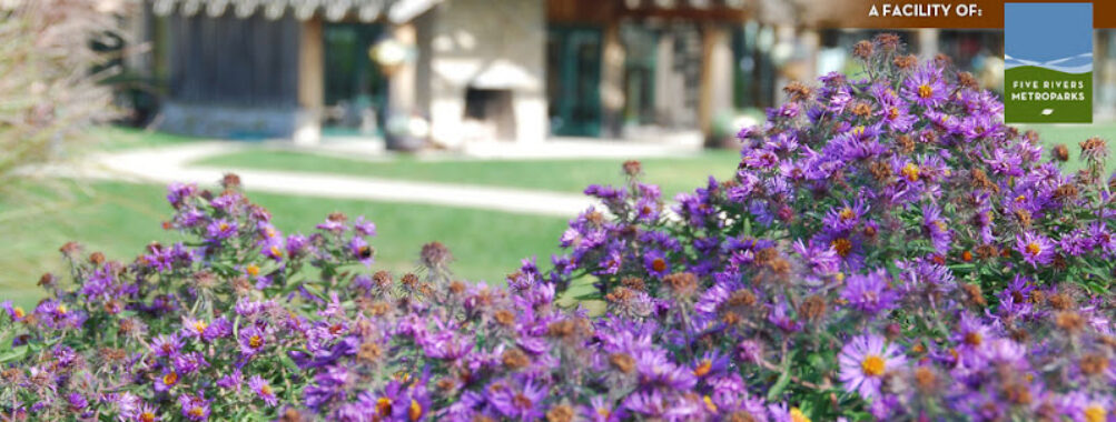 Cox Arboretum MetroPark