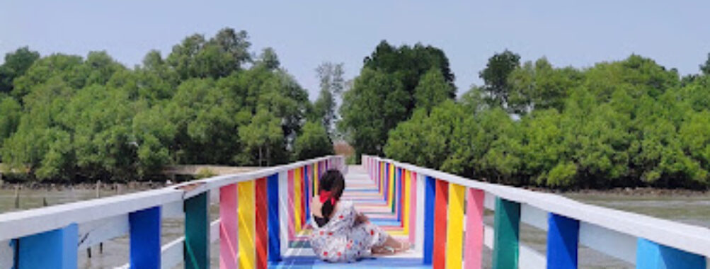 Rainbow Wooden Bridge