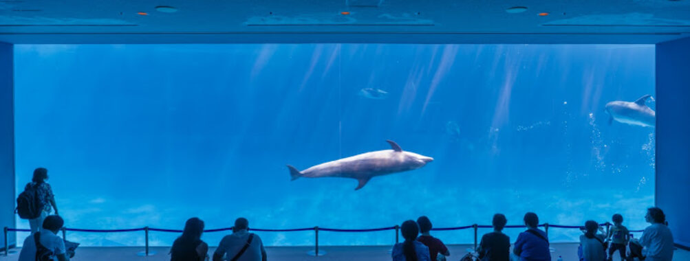 Port Of Nagoya Public Aquarium