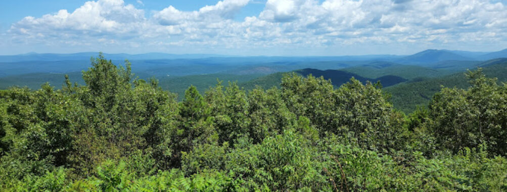 Ouachita National Forest