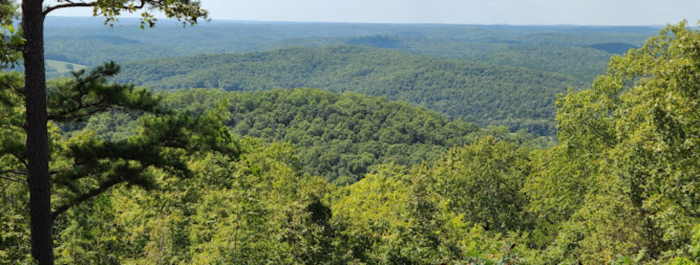 Mark Twain National Forest