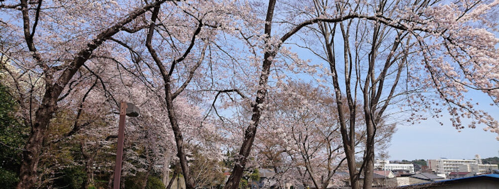 Tagajo Park