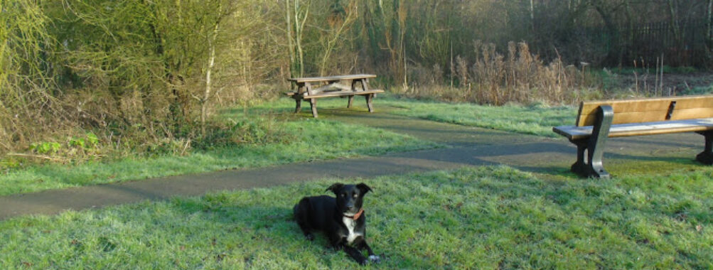 Rivacre Valley Country Park