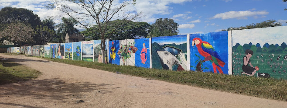 Calle de los murales