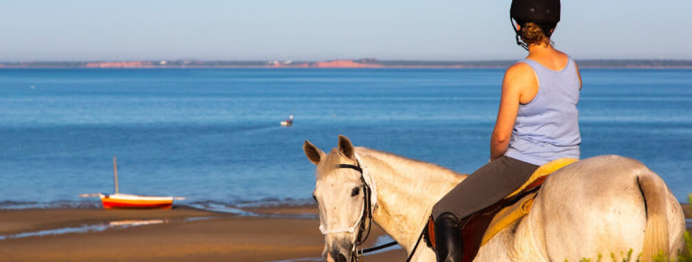 Mozambique Horse Safari