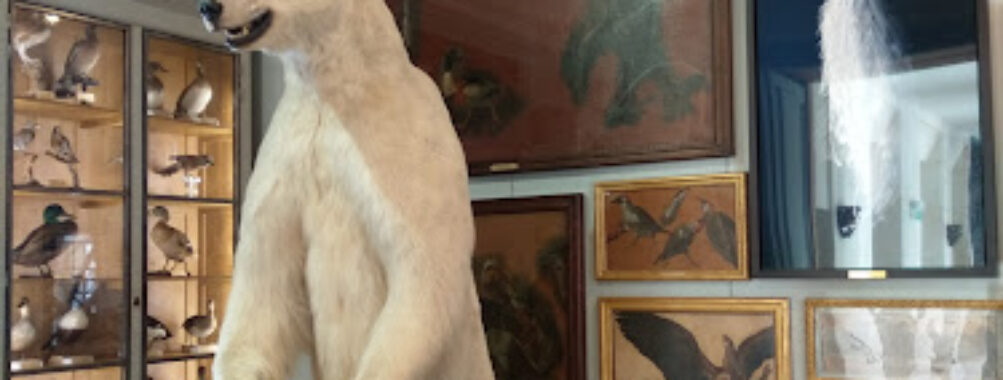 Museum of Hunting and Nature