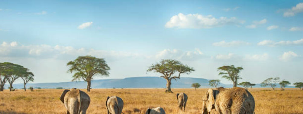 Serengeti National Park