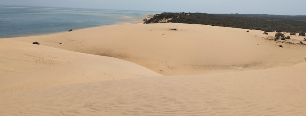 Island Safaris
