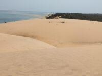 Island Safaris