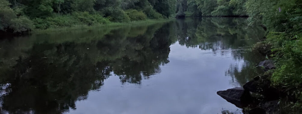 Taunton Parks & Recreation