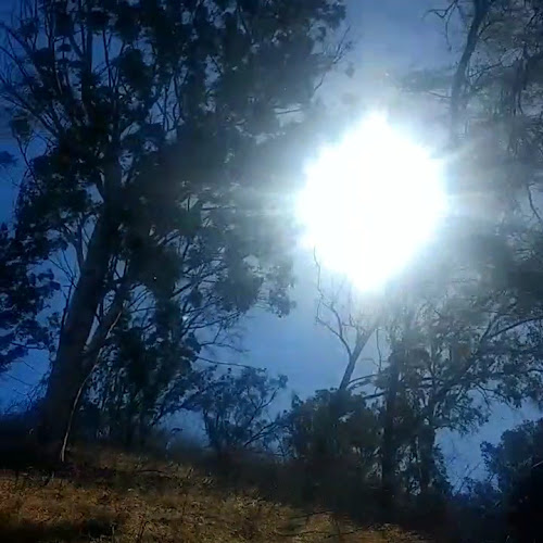 Murphy Ranch Park
