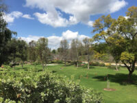 Penn Park
