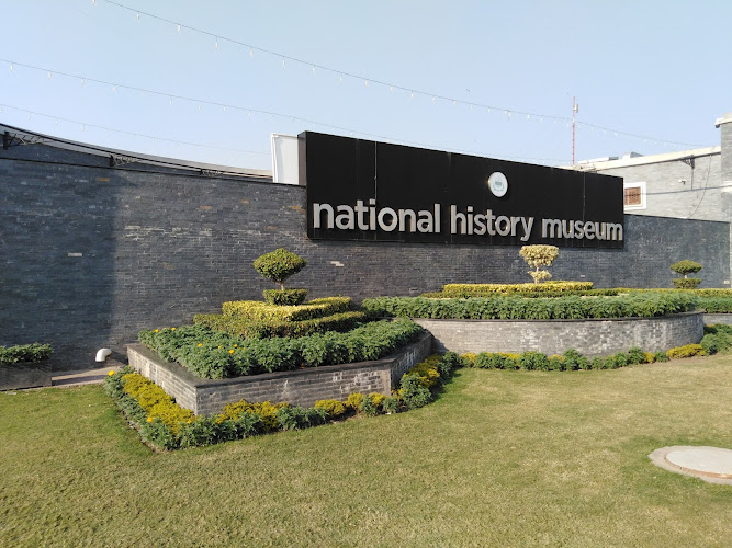 National History Museum