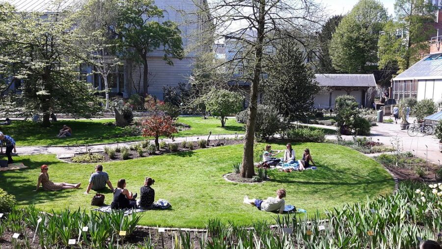 1. People relaxing on the grass in Plantentuin Garden, Antwerp, enjoying a sunny day in a vibrant park setting.
