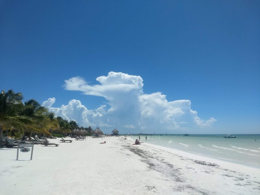 Playa Holbox in Mexico showcases a tranquil beach with soft white sand and lush palm trees lining the shore.
