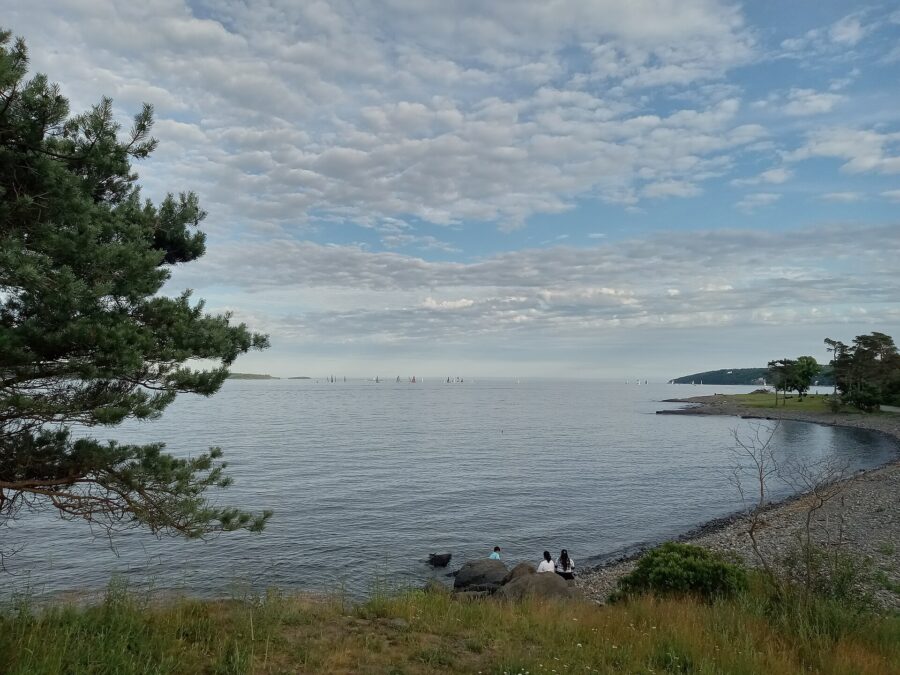 Hillside perspective of the water at Point Pleasant Park, Halifax, Canada, highlighting the peaceful coastal scenery.