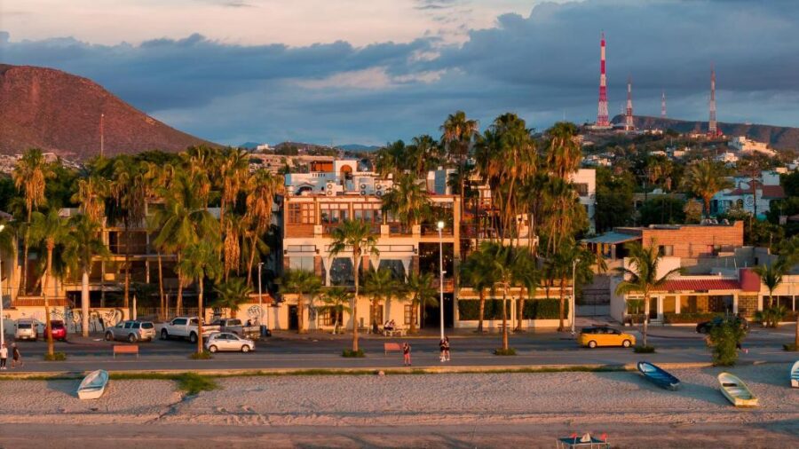 Beach view at Posada de las Flores La Paz, Mexico, showcasing palm trees with buildings lining the background.