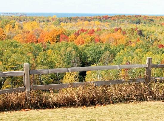Foliage at Potawatomi State Park