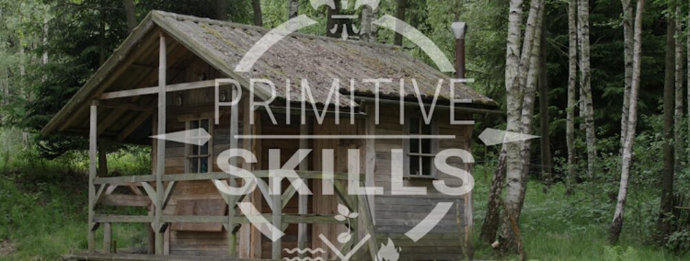 primitiveskills Travel Forum Reviews