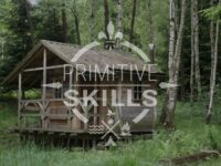 primitiveskills Travel Forum Reviews