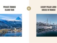 Private Tromso Island Tour vs Luxury Polar Fjord Cruise in Tromso: Which Tour Is Better?
