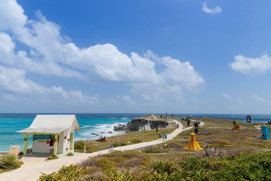 Scenic panorama of Punta Sur, Isla Mujeres, featuring lush greenery and the sparkling ocean in the background.
