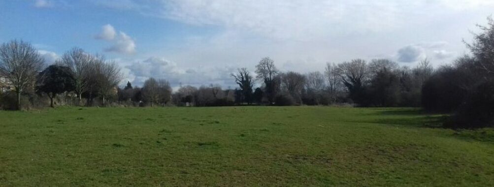 Purwell Meadows