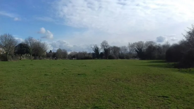 Purwell Meadows