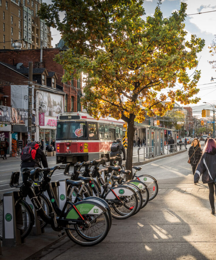 Vibrant tree with green leaves located on Queen Street West, Toronto, Canada, amidst a city backdrop.