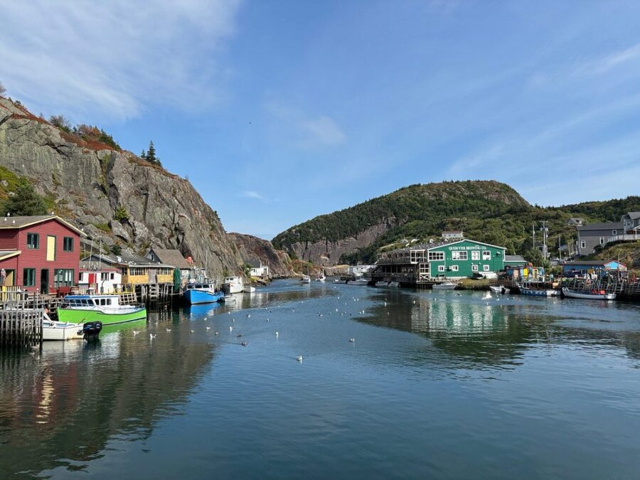 Colorful houses line the harbor waters near Quidi Vidi Brewery in St. John's, Canada, creating a picturesque view.