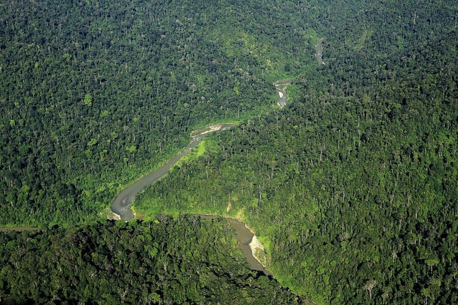 Aerial view of lush rainforest with dense canopy and winding river.