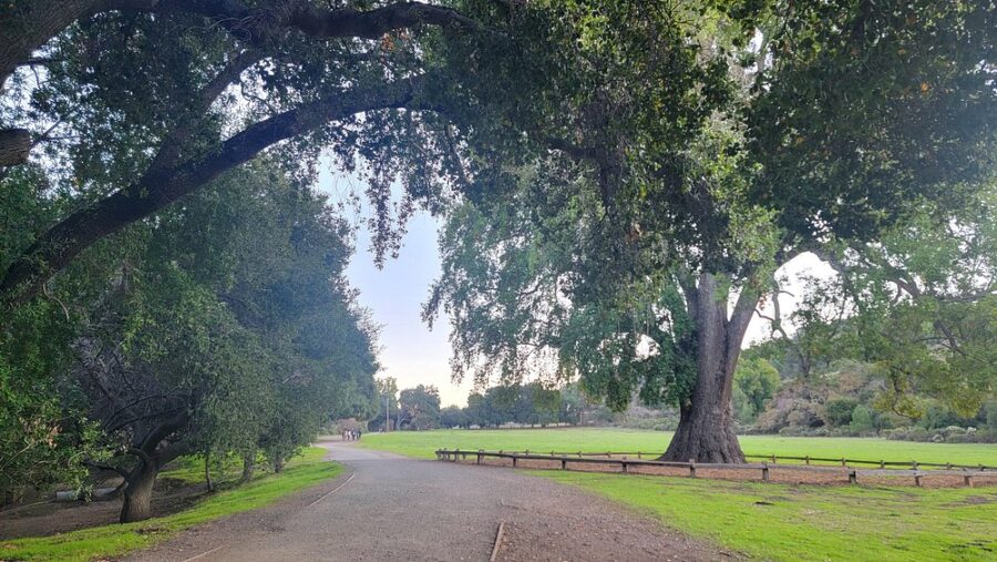 Rancho San Antonio Open Space Preserve