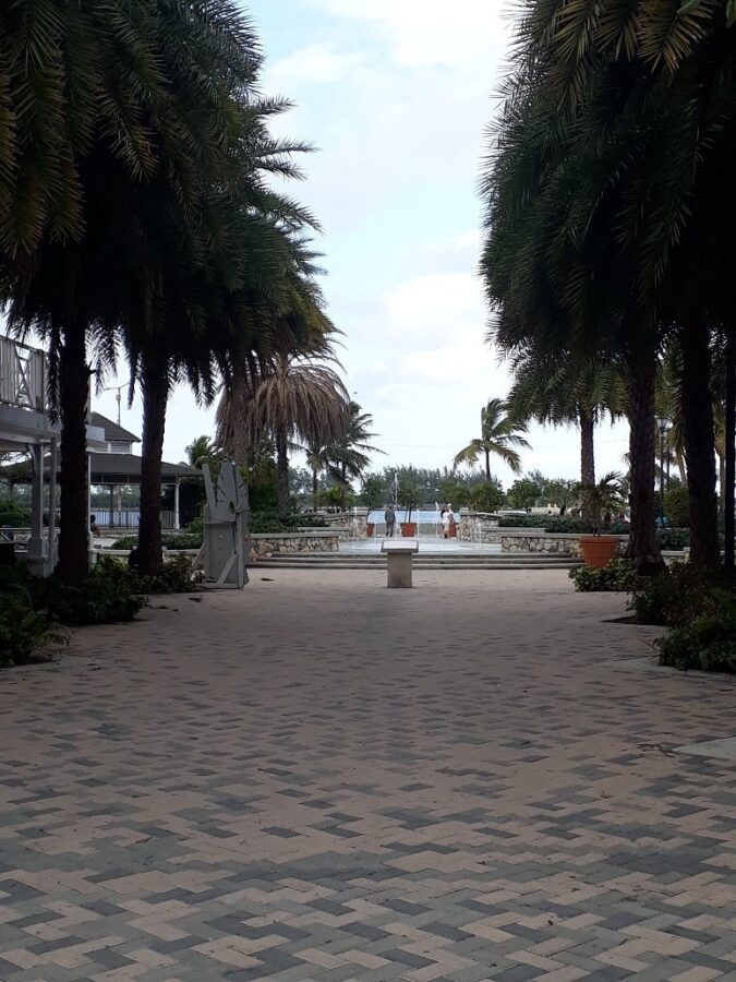 Scenic walkway lined with palm trees and benches in Rawson Square, Nassau, Bahamas.