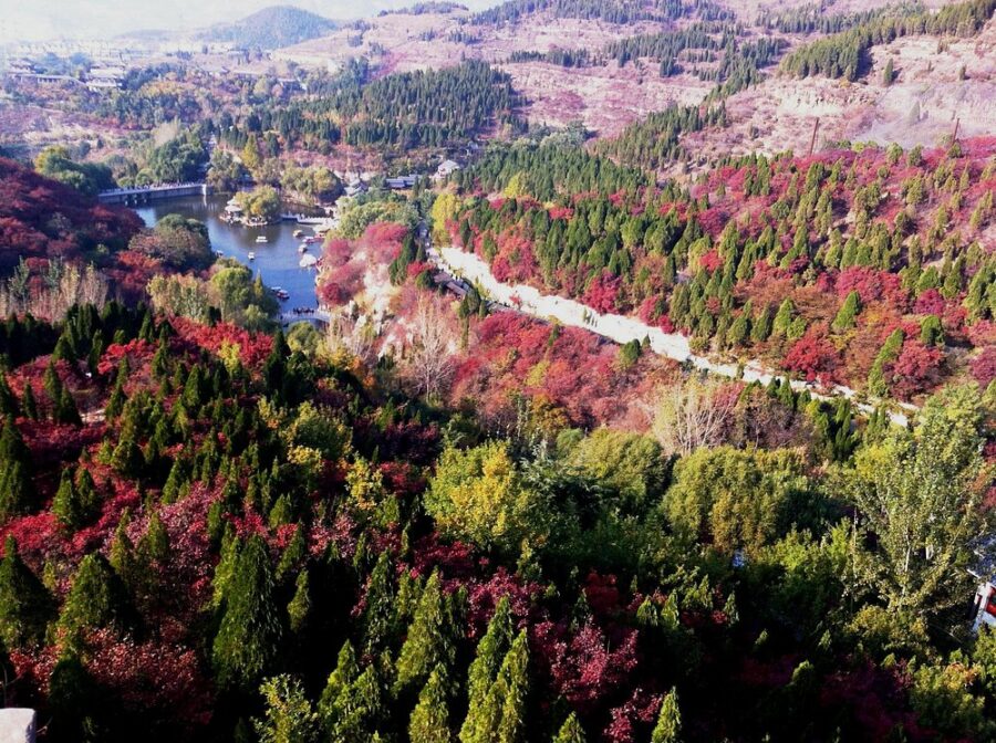 Red Leaves Valley (North Gate)
