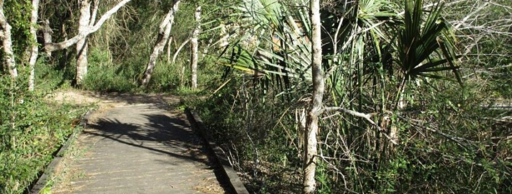 Resaca De La Palma State Park & World Birding Center