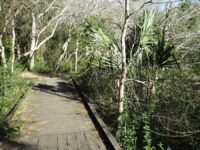 Resaca De La Palma State Park & World Birding Center