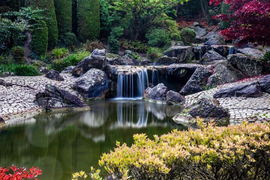 Rheinaue Park, Bonn