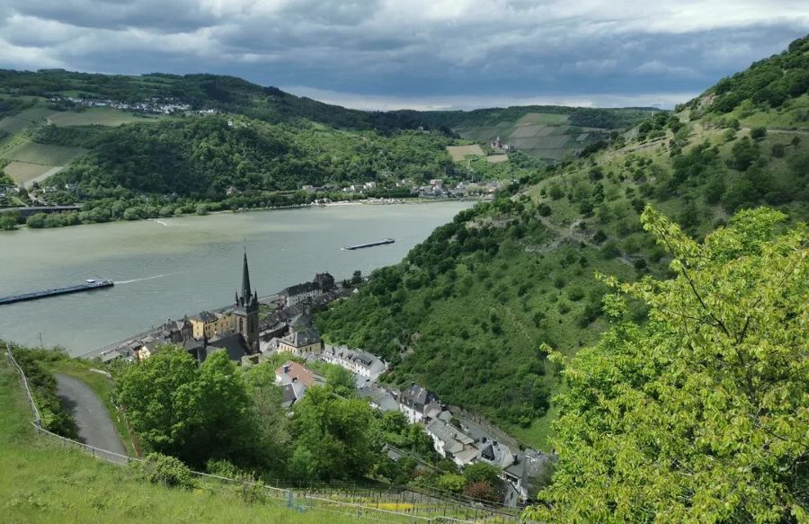 Exploring the Outdoors in Bacharach