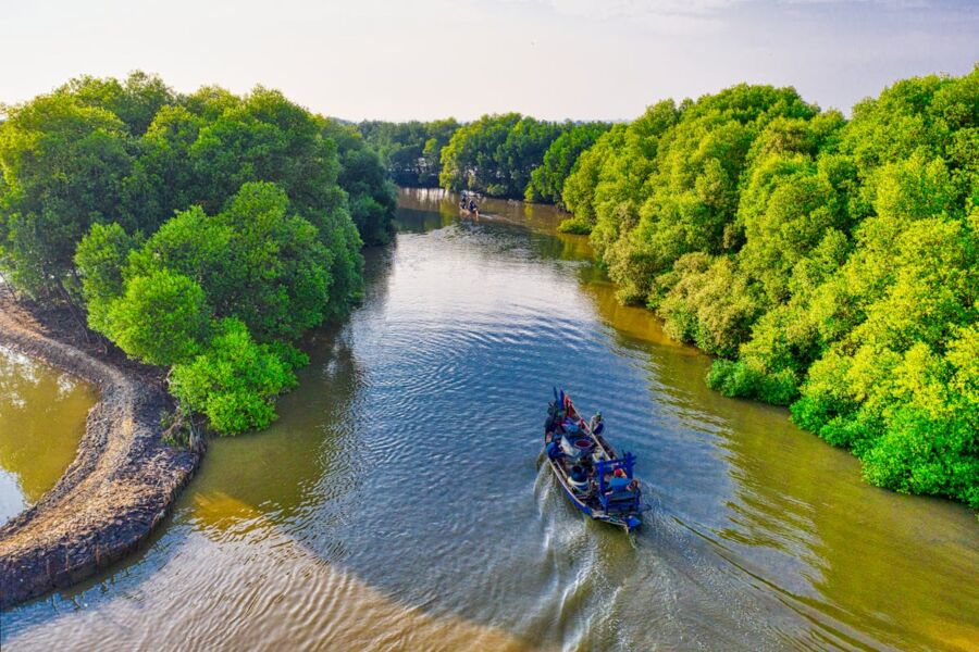 Mangrove ecosystem with boats, lush greenery, and calm water; depicts human-nature interaction.