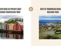 River Nidelva Private Boat Guided Sightseeing Tour vs Best of Trondheim Highlights Walking Tour: Which Tour Is Better?