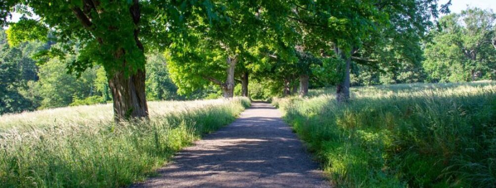 Rockefeller State Park Preserve