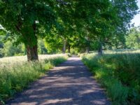 Rockefeller State Park Preserve
