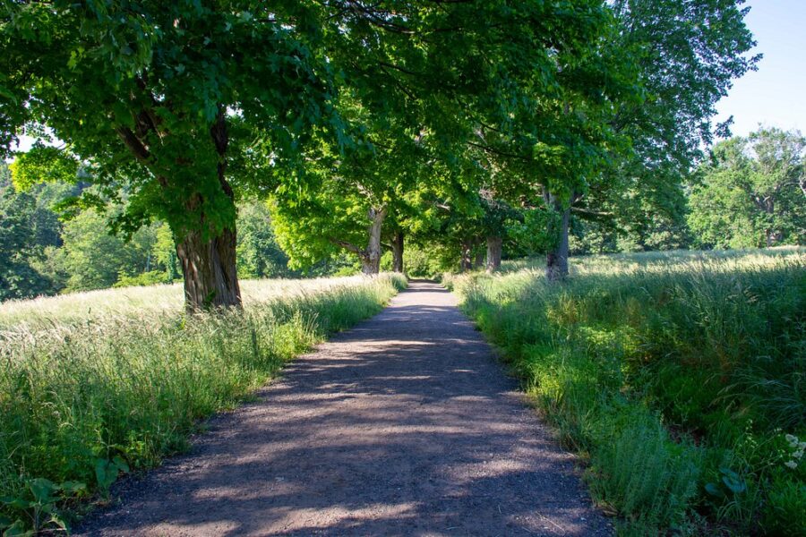 Rockefeller State Park Preserve