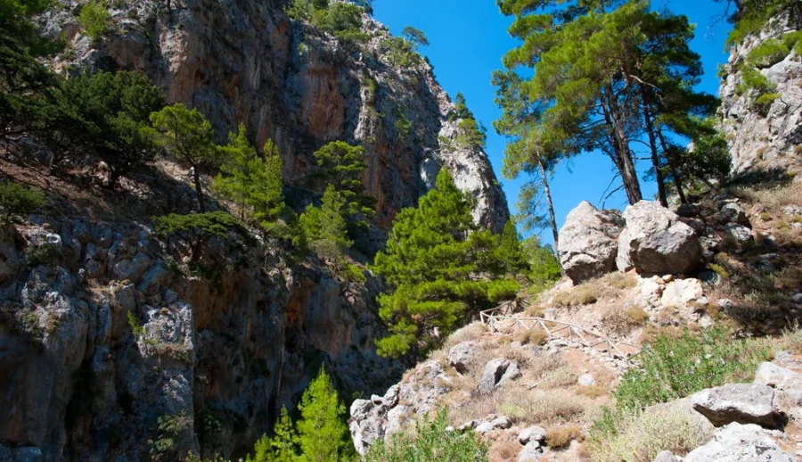 Scenic canyon landscape with towering rock formations, pine trees, and sunlight in Agia Irini Gorge.