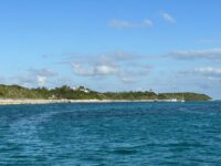 Day Trip to Rose Island from Nassau: Ultimate Guide to Swimming Pigs & Best Island Experiences
