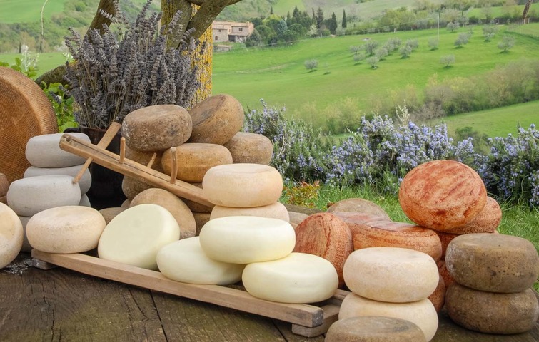 Rustic cheese assortment on wooden table with picturesque landscape and lavender in the background.