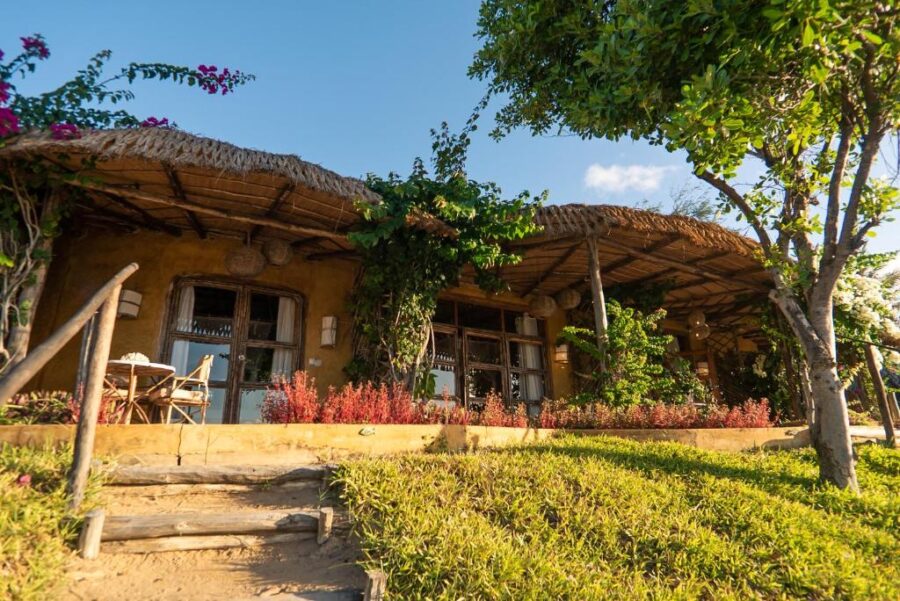Rustic eco lodge in Praia Tofo with thatched roof, wooden veranda, lush garden and ocean retreat vibes.