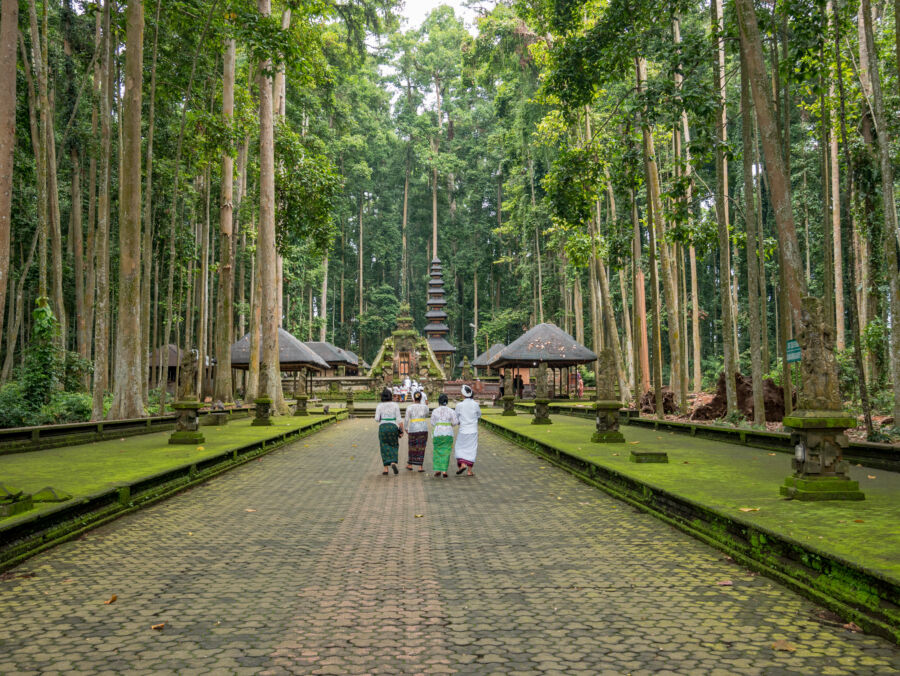 Sacred Monkey Forest Sanctuary in Ubud, Bali, with vibrant greenery and monkeys roaming freely around historic temples